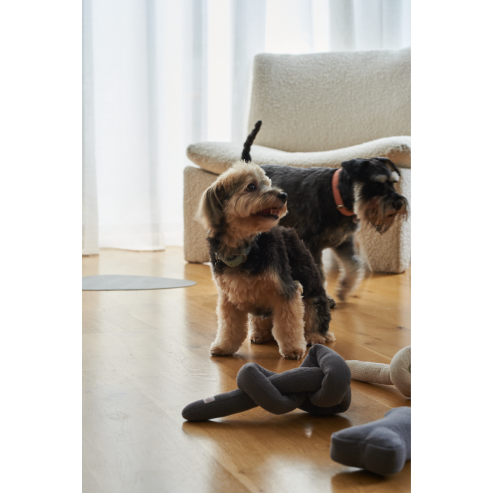 Dog Knot Toy Charcoal