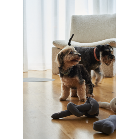 Dog Knot Toy Charcoal