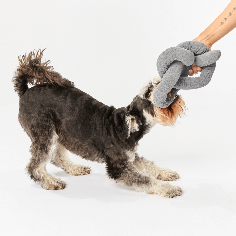 Dog Knot Toy Charcoal