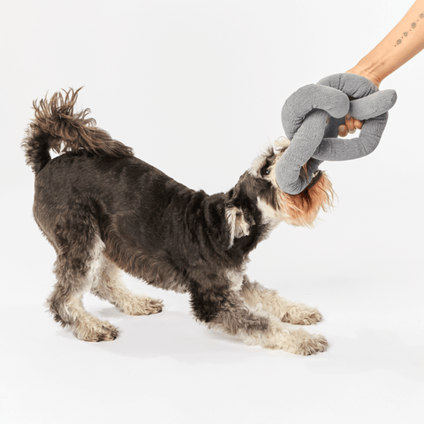 Dog Knot Toy Charcoal