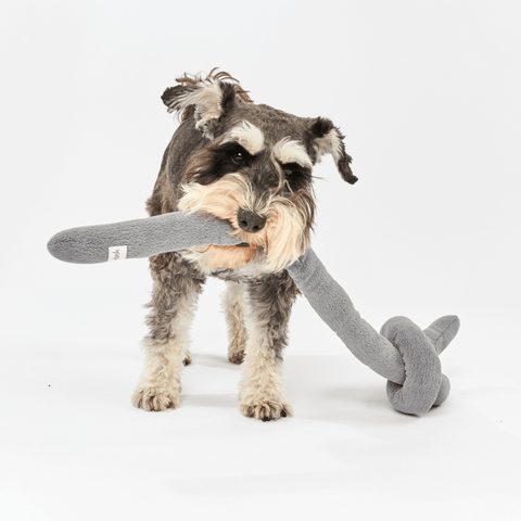 Dog Knot Toy Charcoal