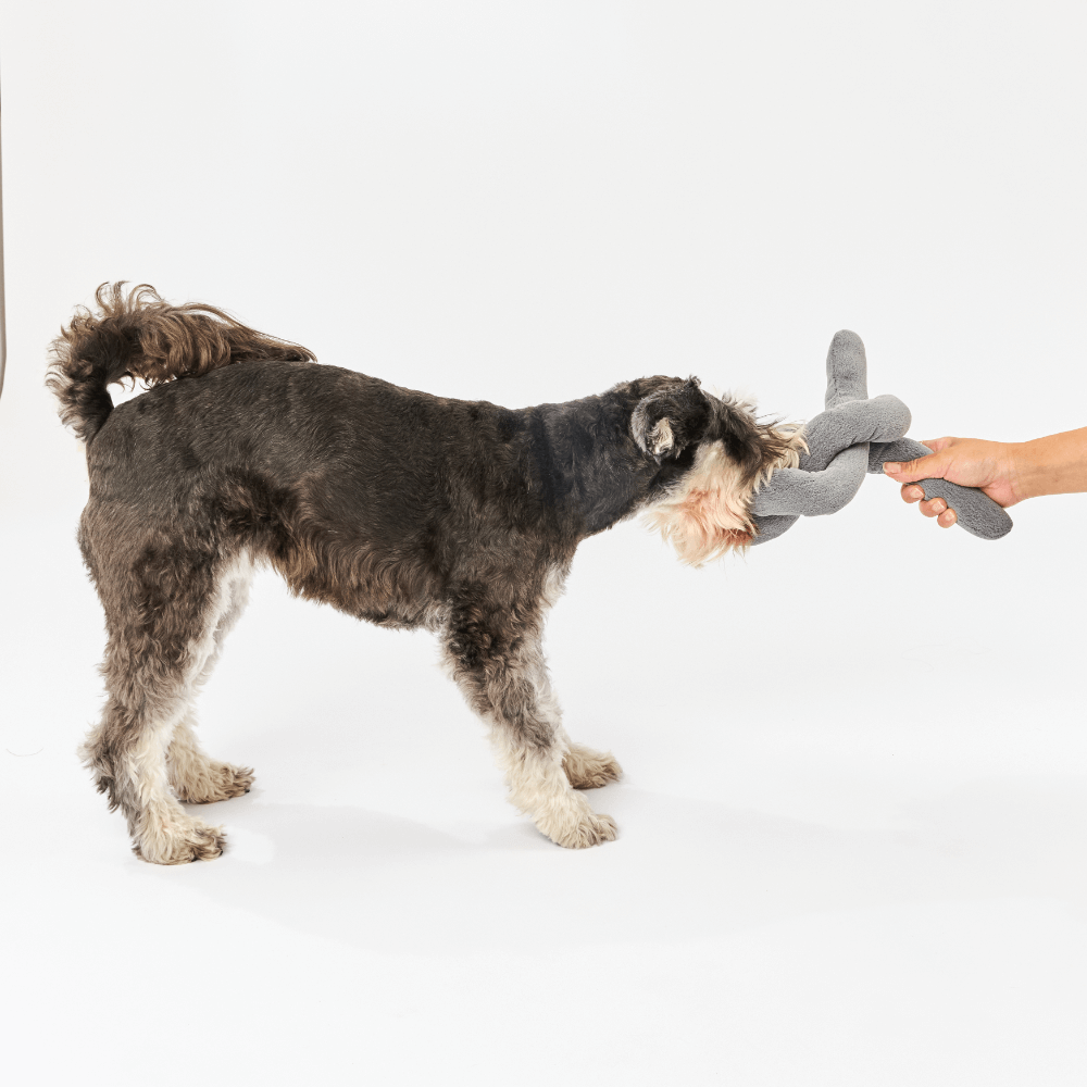 Dog Knot Toy Charcoal