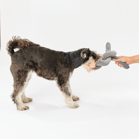 Dog Knot Toy Charcoal