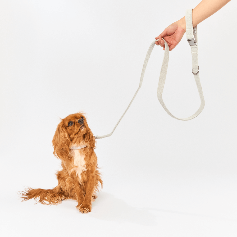 Boucle Dog Lead in Cloud