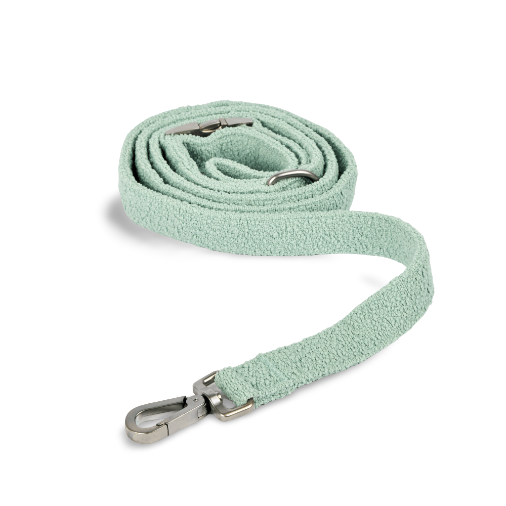 Boucle Dog Lead in Sage
