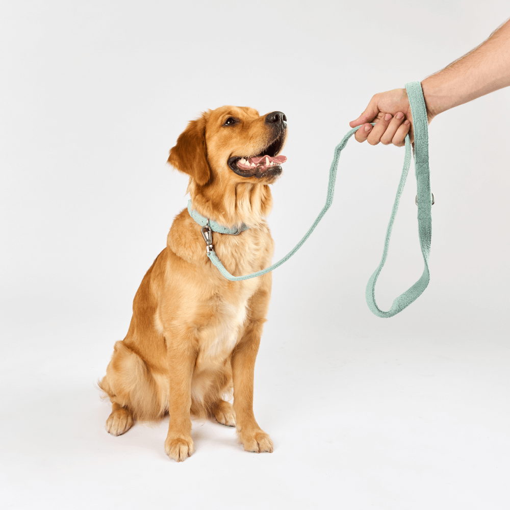 Boucle Dog Lead in Sage