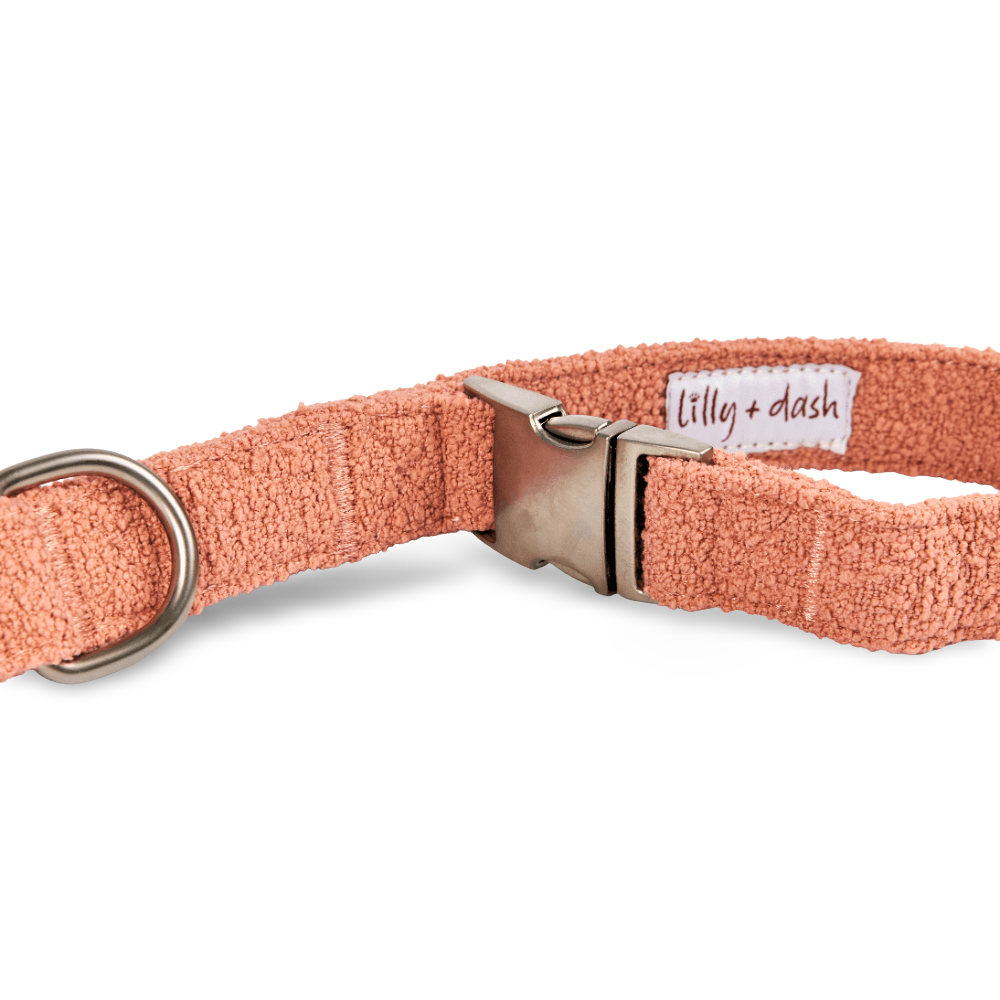 Boucle Dog Lead in Terracotta