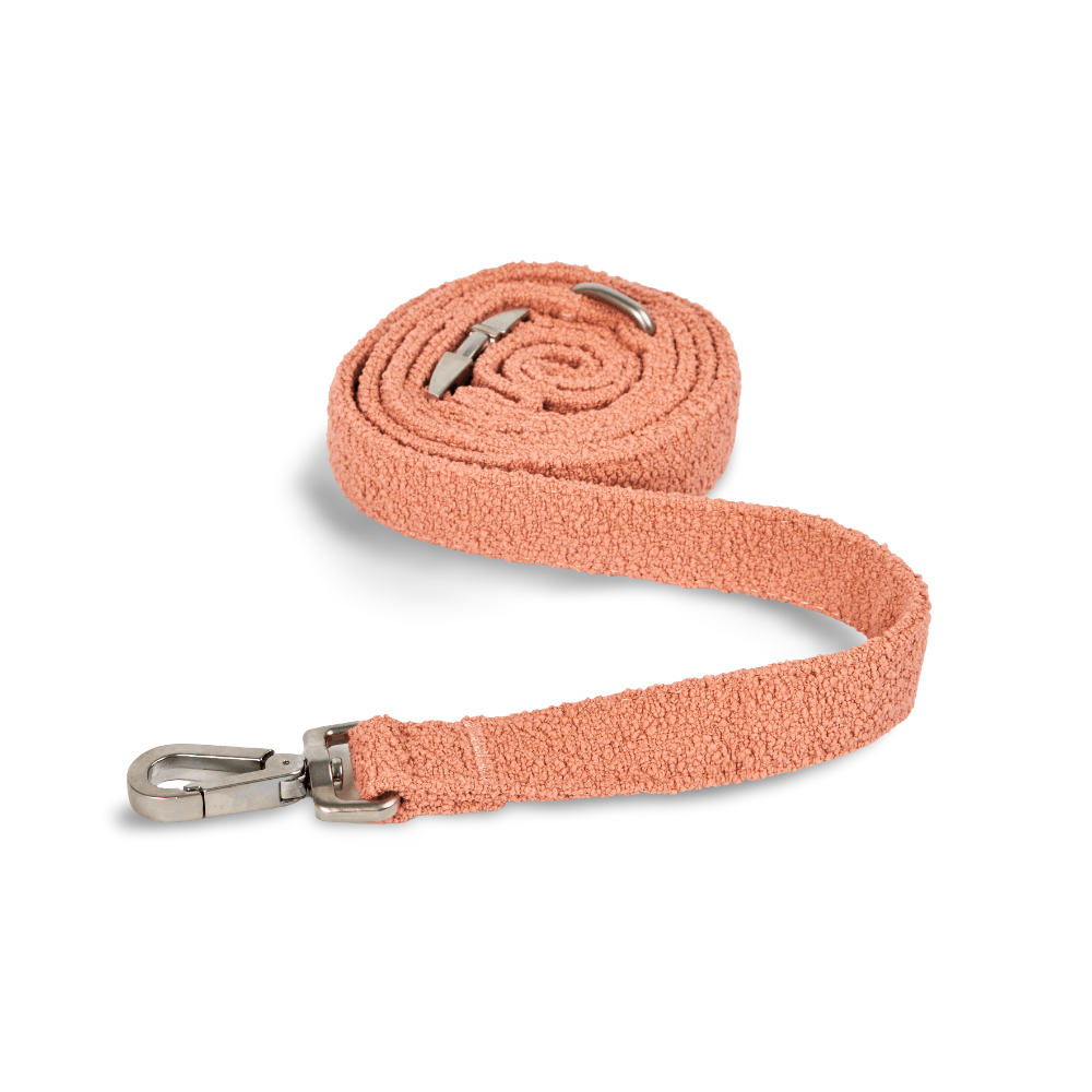 Boucle Dog Lead in Terracotta
