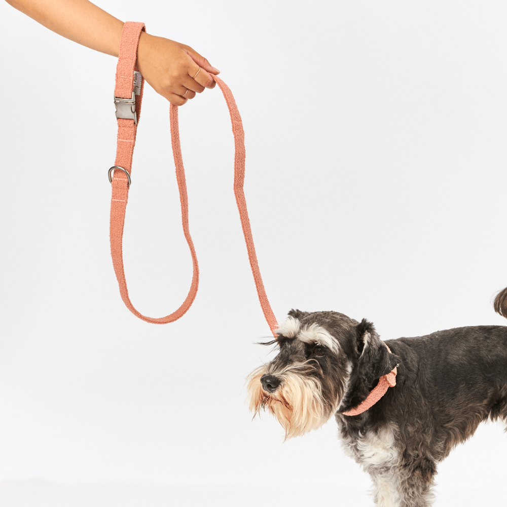 Boucle Dog Lead in Terracotta