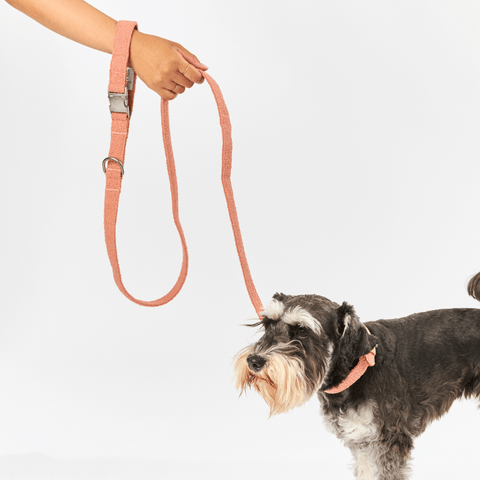 Boucle Dog Lead in Terracotta
