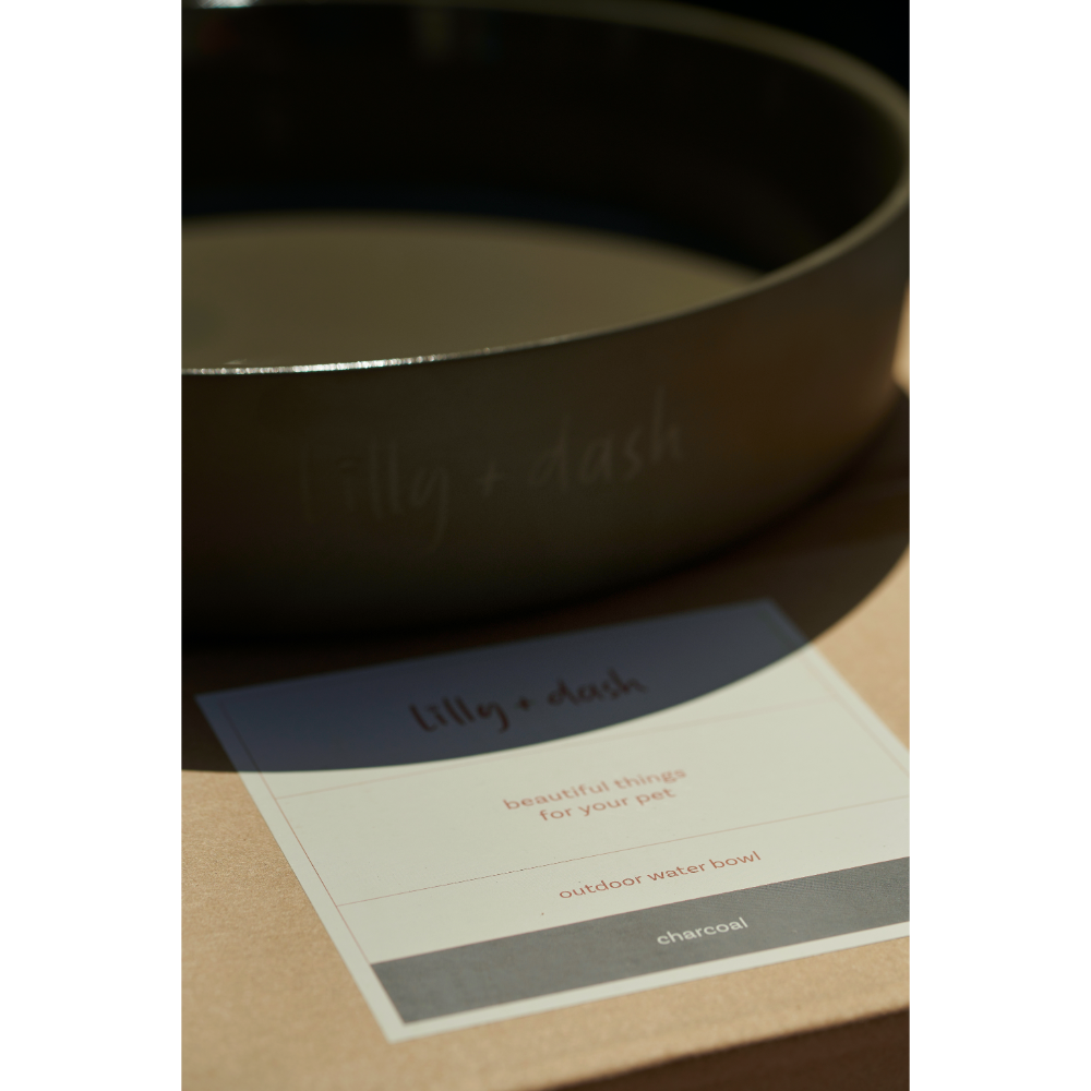 Dog Outdoor Water Bowl Charcoal