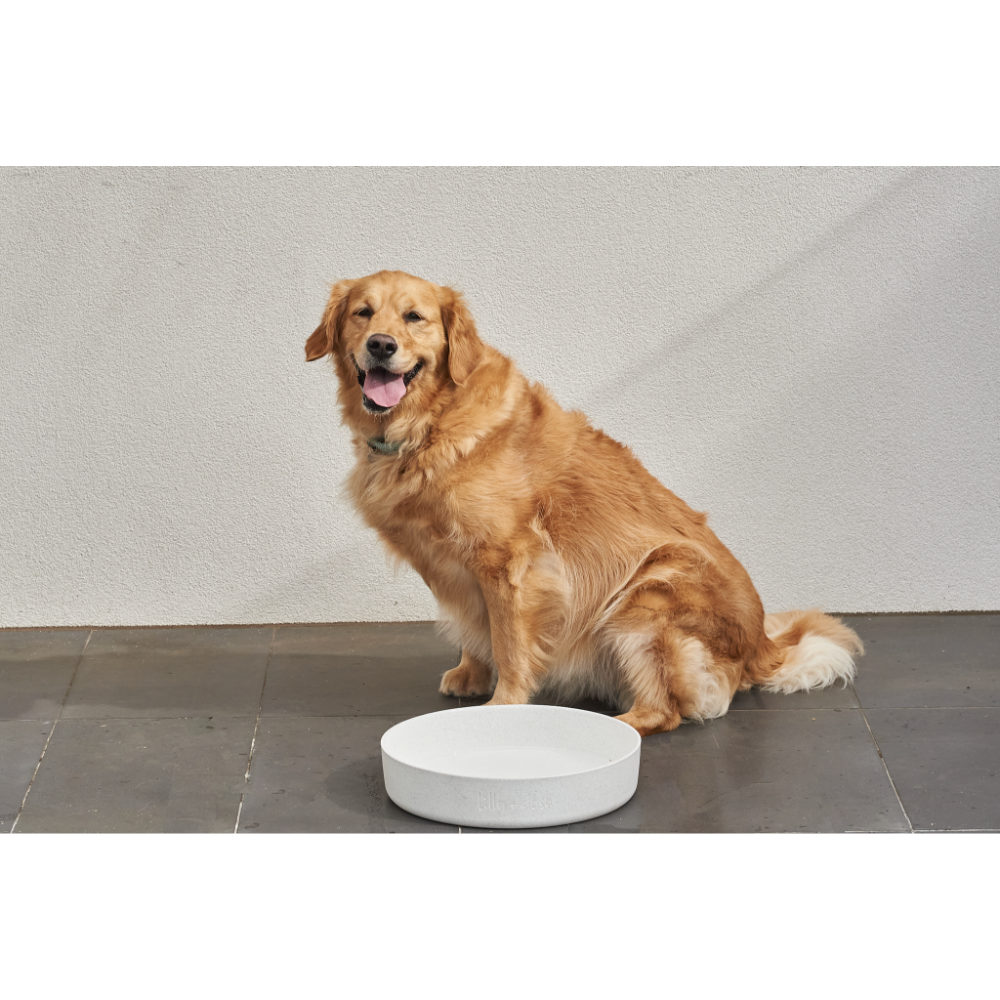 Dog Outdoor Water Bowl Milk Speckle