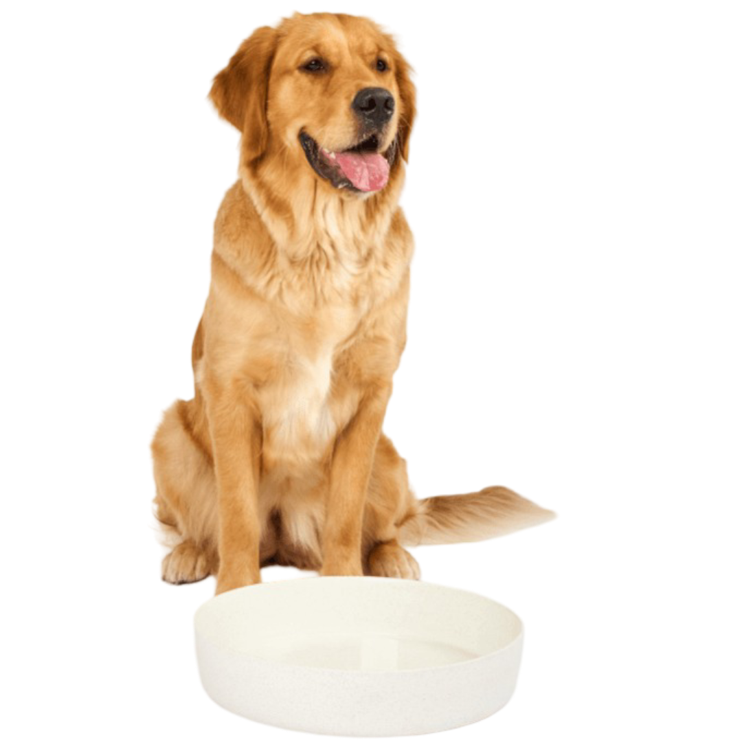 Dog Outdoor Water Bowl Milk Speckle