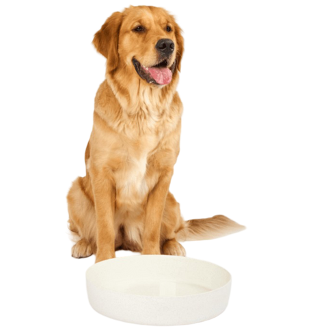Dog Outdoor Water Bowl Milk Speckle