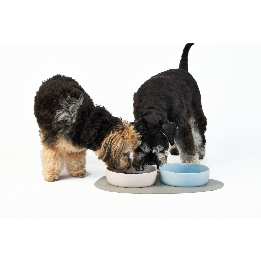Dog Placemat Sand