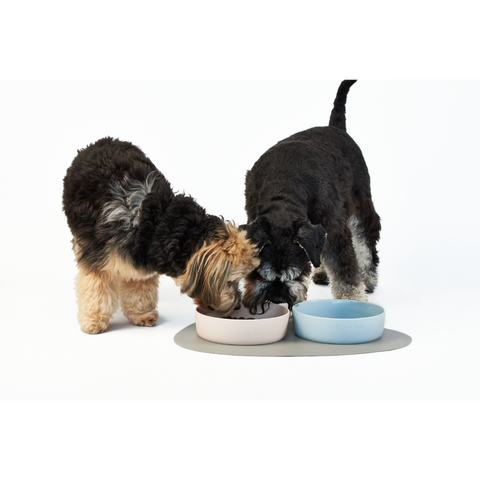 Dog Placemat Sand