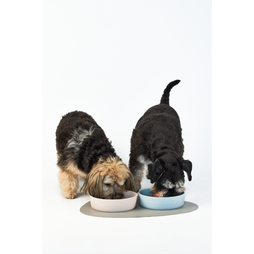 Dog Placemat Slate