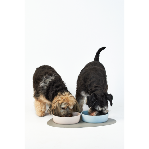 Dog Placemat Slate