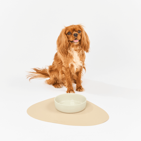 Dog Placemat Sand