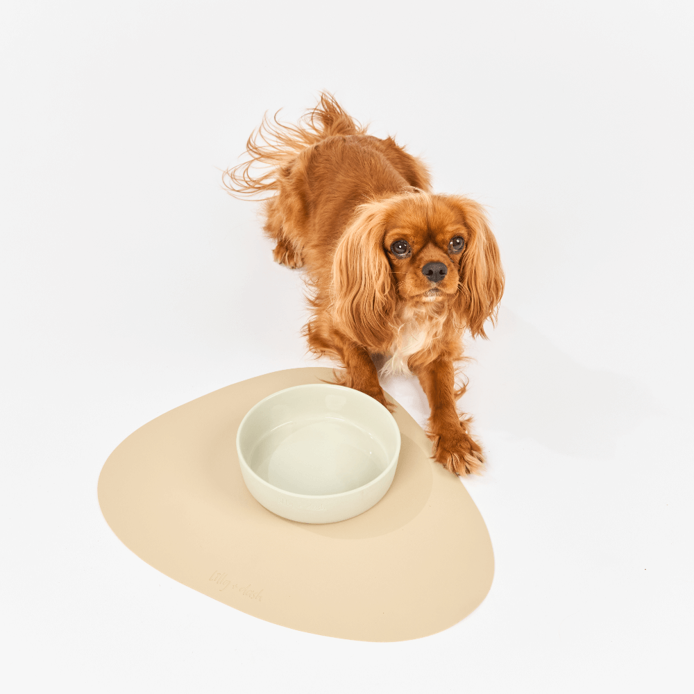 Dog Placemat Sand