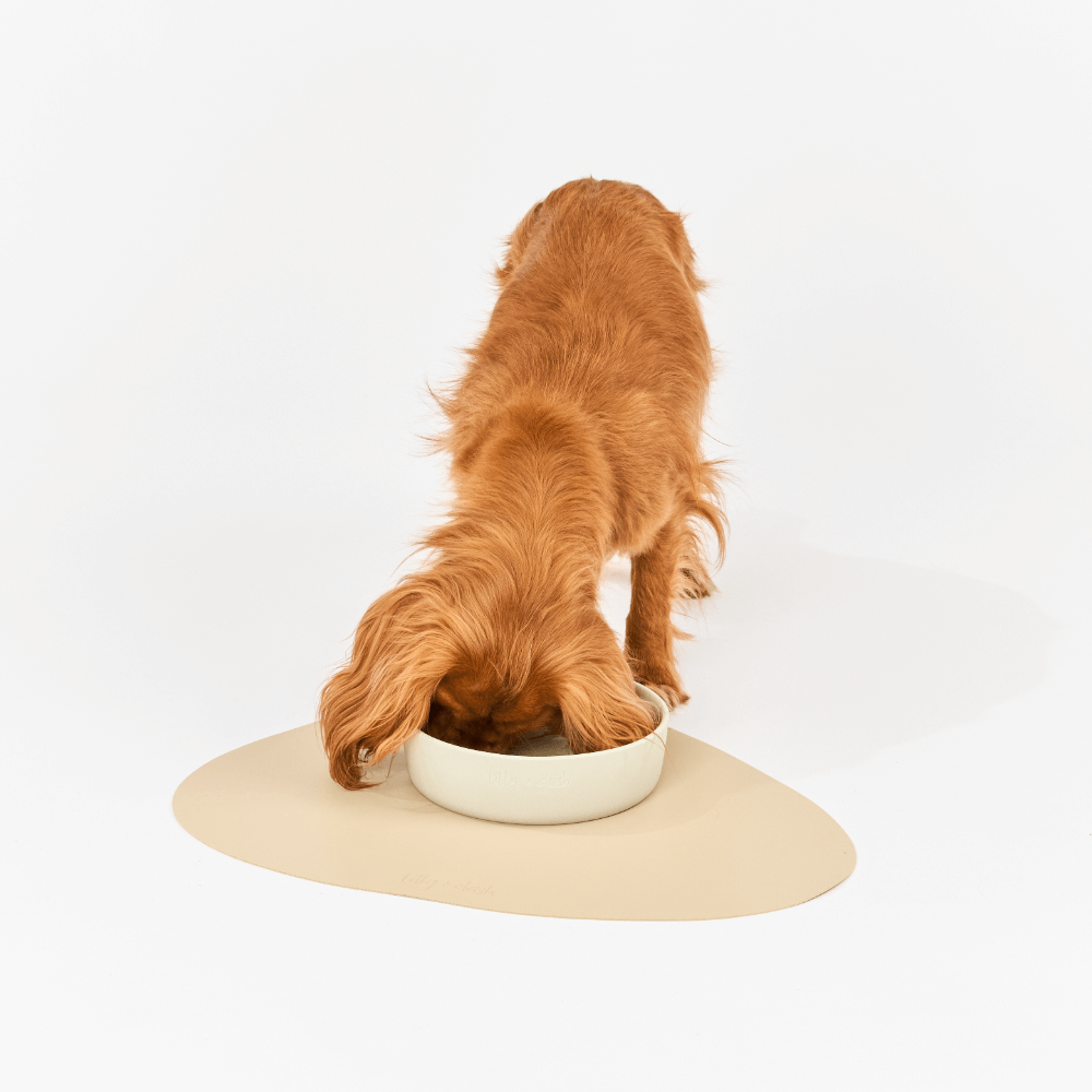 Dog Placemat Sand