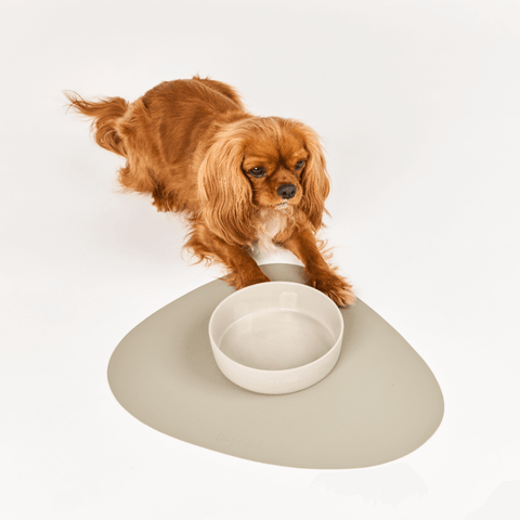 Dog Placemat Slate