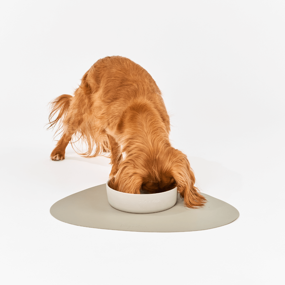 Dog Placemat Slate