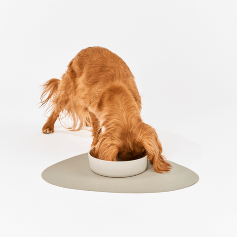 Dog Placemat Slate
