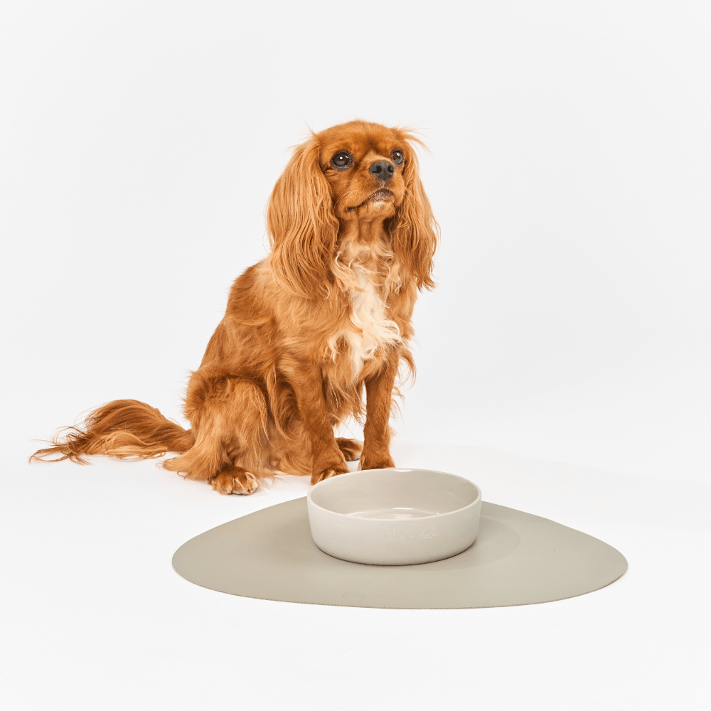 Dog Placemat Slate