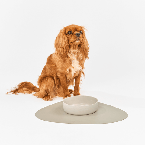 Dog Placemat Slate