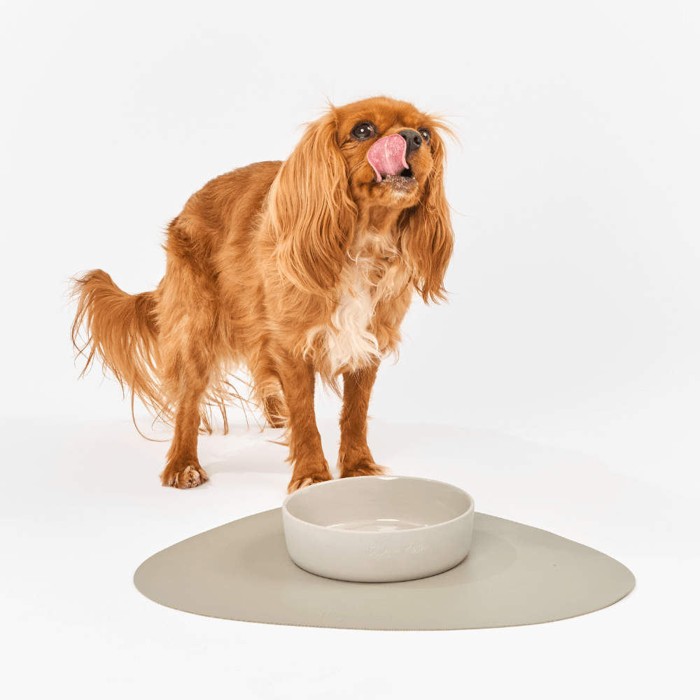Dog Placemat Slate