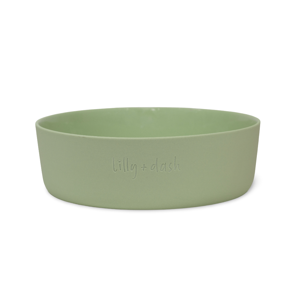 Pet Bowl Dog Mint Feeding Bowl