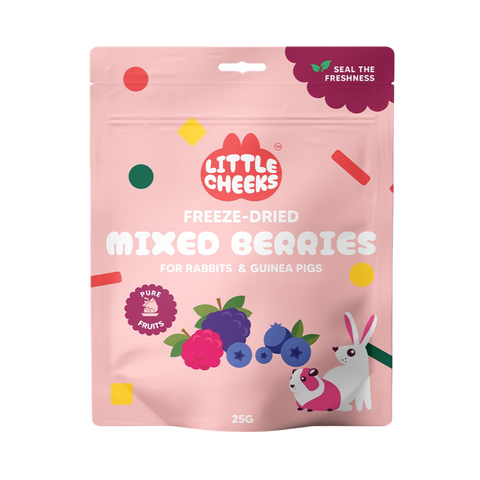 Freeze Dried Mixed Berries Treats for Small Pets