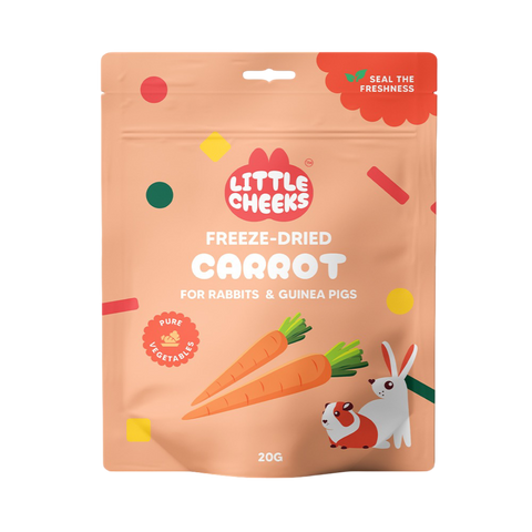 Freeze Dried Carrot Treats for Small Pets