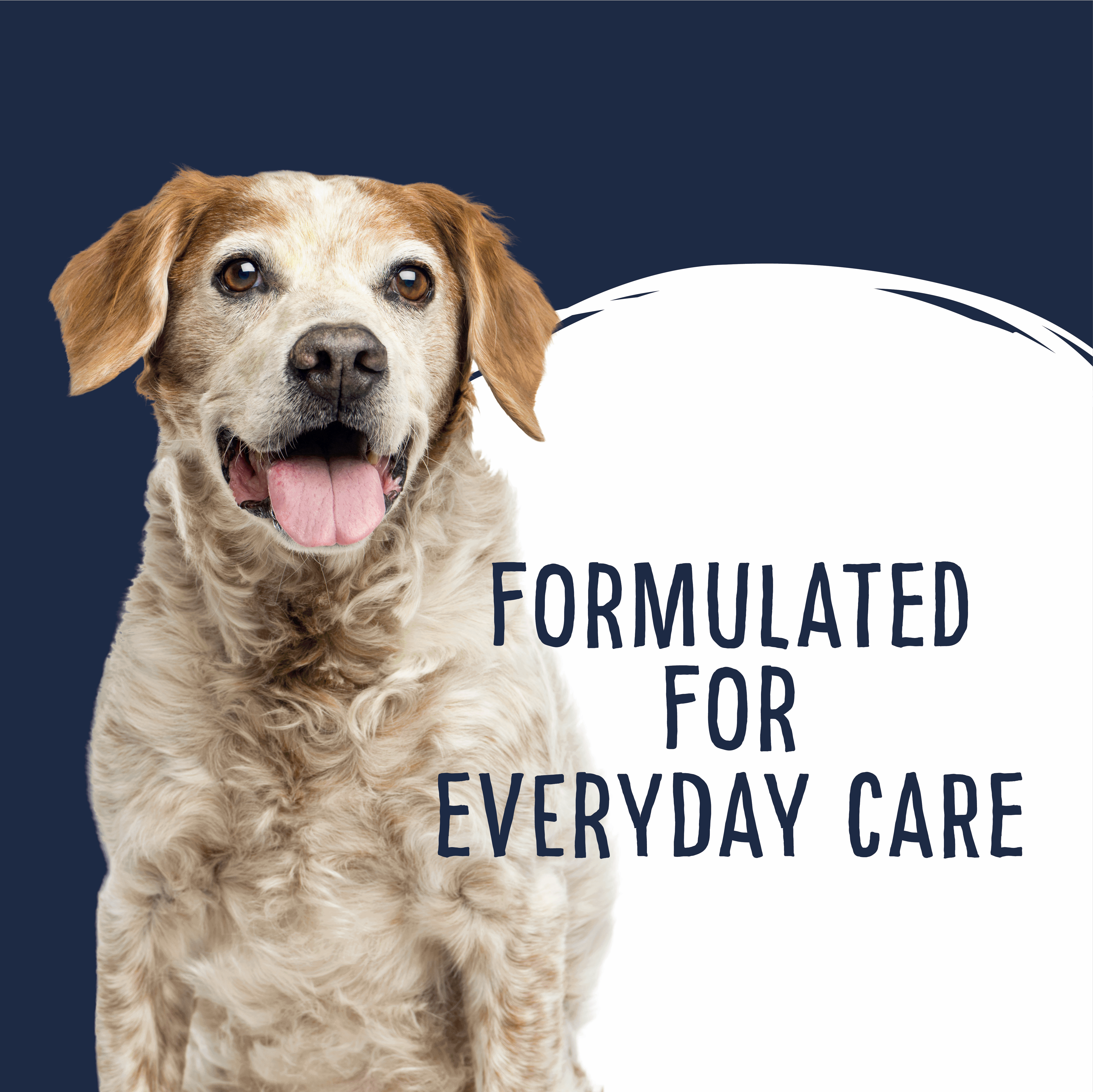 Beef Joint Care Cookie