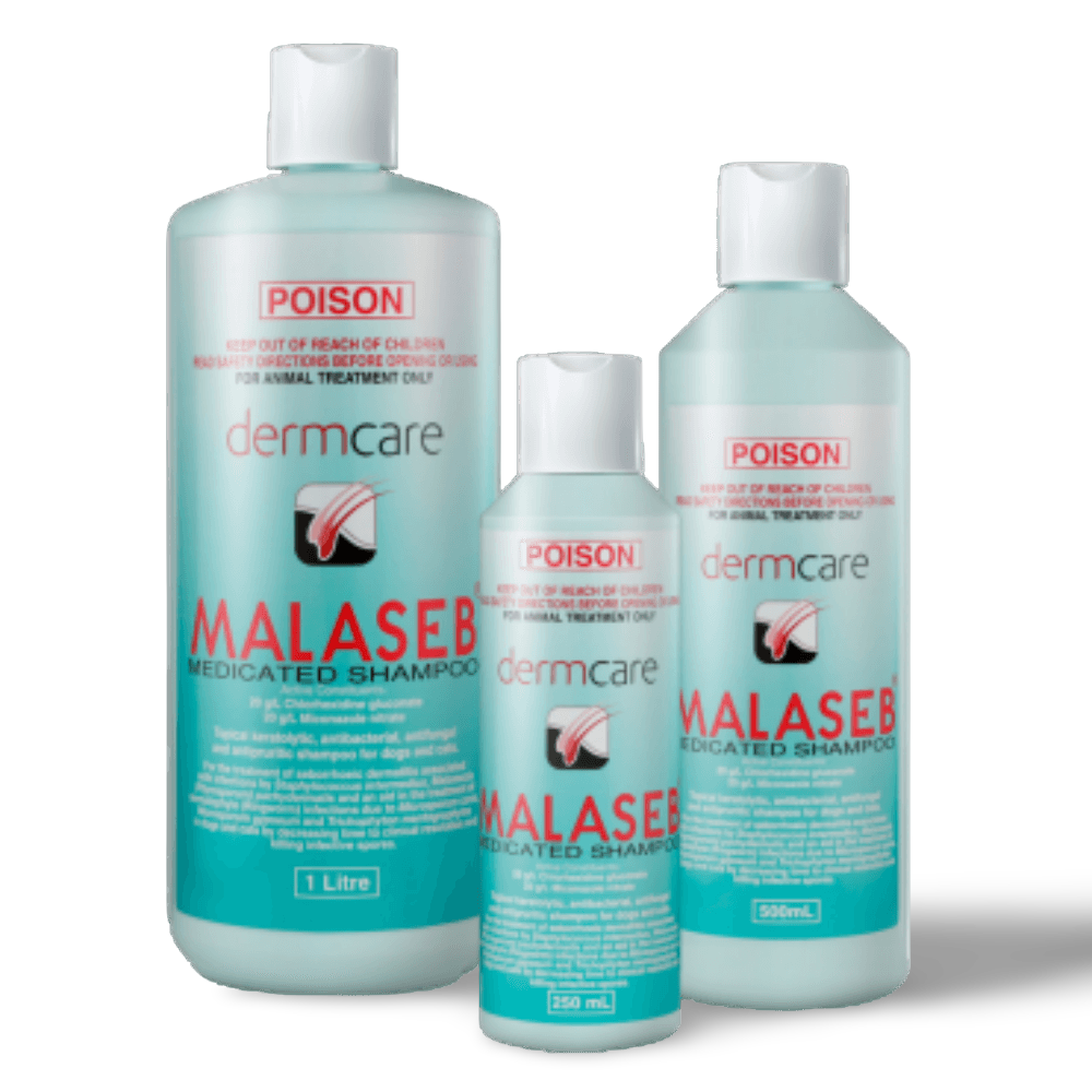 Medicated Shampoo Antibacterial Antifungal Shampoo For Pets