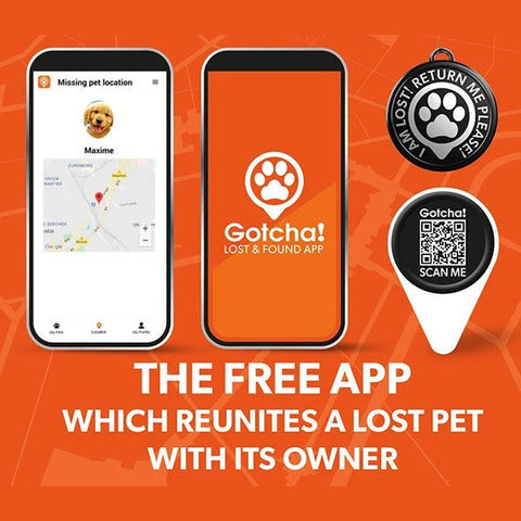 Max & Molly Smart ID Cat Collar