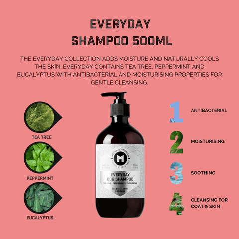 Everyday Dog Shampoo