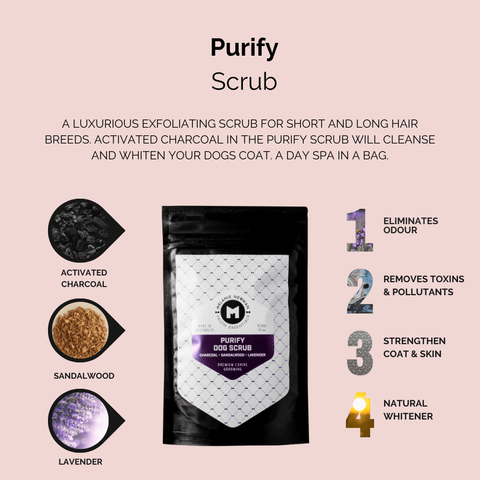 Purify Dog Scrub