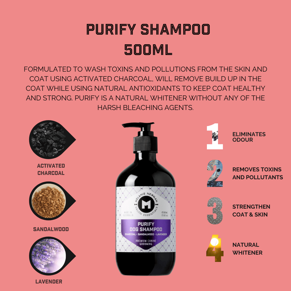 Purify Activated Charcoal Dog Shampoo