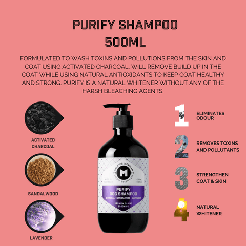 Purify Activated Charcoal Dog Shampoo