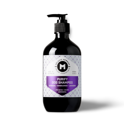 Purify Activated Charcoal Dog Shampoo