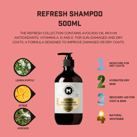 Refresh Dog Shampoo