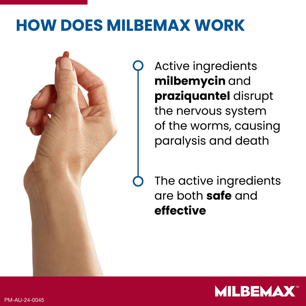 All Wormer Tablets For Cats