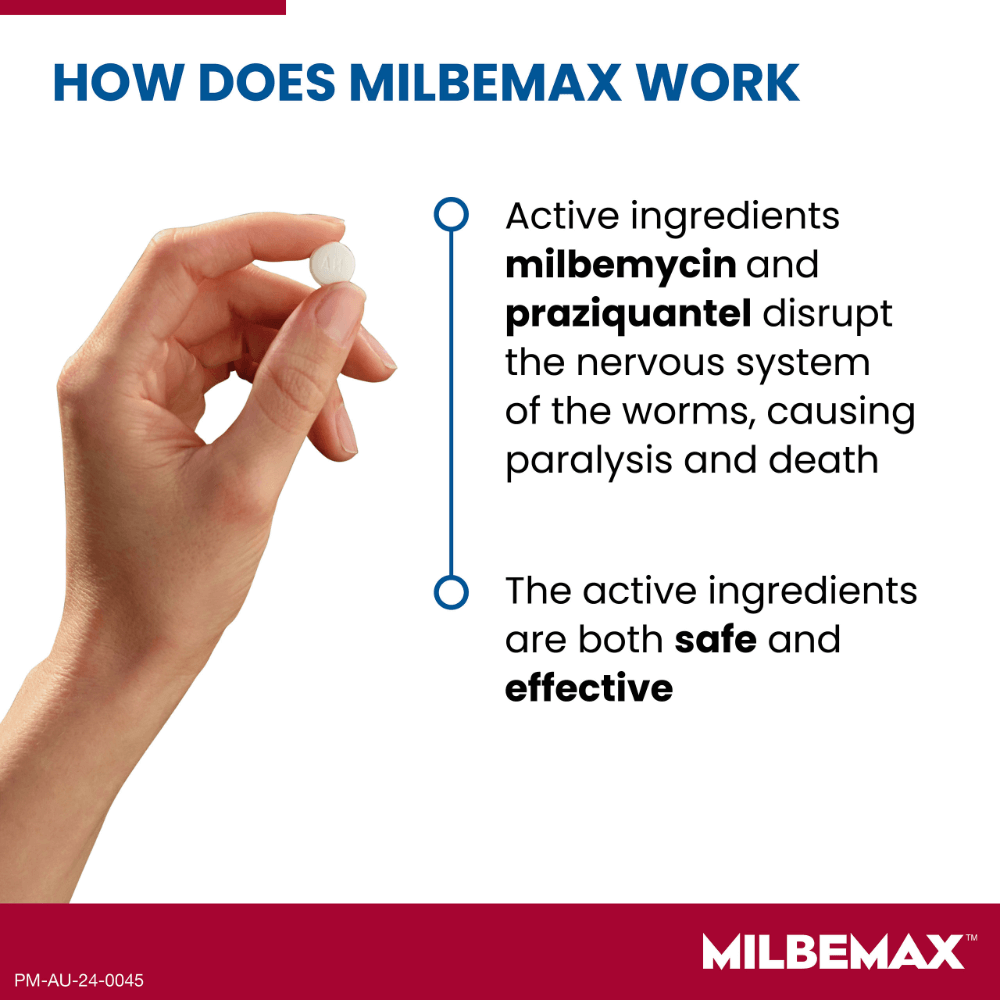 All Wormer Tablets For Dogs