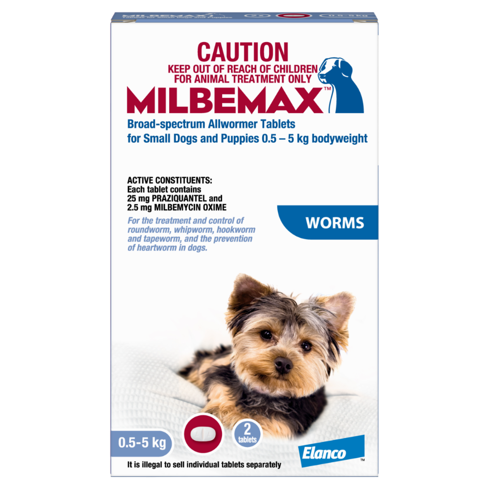 All Wormer For Small Dogs