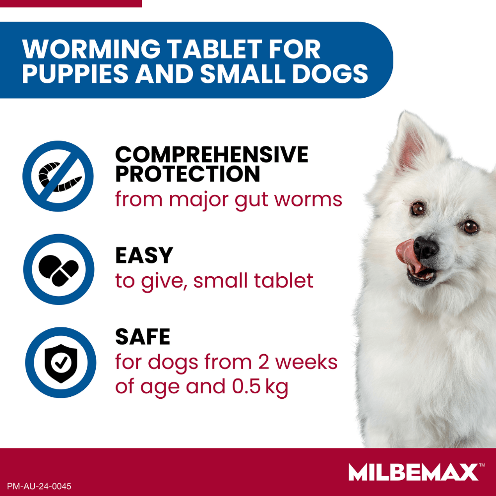All Wormer For Small Dogs