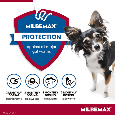 All Wormer For Small Dogs