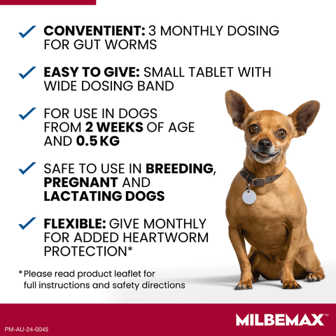 All Wormer For Small Dogs