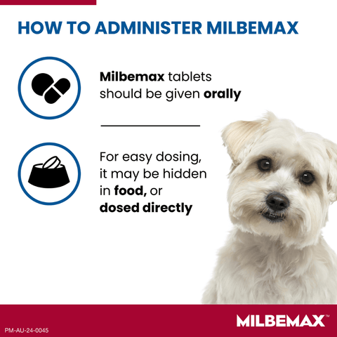 All Wormer For Small Dogs